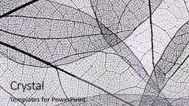  Presentation with skeleton - Audience pleasing slides consisting of skeletal - decorative skeleton leaves background backdrop and a light gray colored foreground