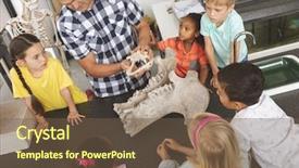  Presentation with skeletal - Slide deck with skeletal - high angle view of teacher background and a tawny brown colored foreground