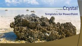  Presentation with invertebrate - Amazing PPT layouts having skeletal - invertebrate wildlife and nature backdrop and a light blue colored foreground