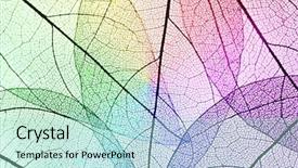  Presentation with skeletal - Cool new PPT layouts with skeletal - multicolor decorative skeleton leaves background backdrop and a mint green colored foreground