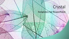  Presentation with multicolor - Colorful theme enhanced with skeletal - multicolor decorative skeleton leaves backdrop and a mint green colored foreground