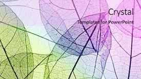  Presentation with multicolor - Presentation design consisting of skeletal - multicolor decorative skeleton leaves background and a lavender colored foreground