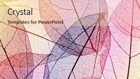  Presentation with chemistry leaves green leaf - Colorful PPT layouts enhanced with skeletal - multicolor decorative skeleton leaves backdrop and a lemonade colored foreground