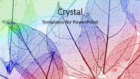  Presentation with skeletal - PPT layouts enhanced with skeletal - multicolor decorative skeleton leaves background and a light blue colored foreground