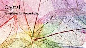  Presentation with multicolor - Slide set having skeletal - multicolor decorative skeleton leaves background and a lemonade colored foreground