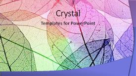  Presentation with multicolor - Audience pleasing slide deck consisting of skeletal - multicolor decorative skeleton leaves backdrop and a lavender colored foreground