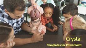  Presentation with kids brain - Colorful presentation design enhanced with skeletal - overhead view of a teacher backdrop and a tawny brown colored foreground