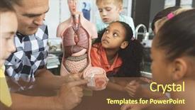  Presentation with kids brain - PPT layouts having skeletal - overhead view of a teacher background and a tawny brown colored foreground