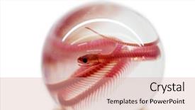  Presentation with eden - Amazing PPT layouts having skeletal - snake skeleton preserved backdrop and a lemonade colored foreground