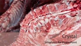  Presentation with meat beef - Audience pleasing presentation theme consisting of skeletal muscle - half of beef carcasses fresh backdrop and a coral colored foreground