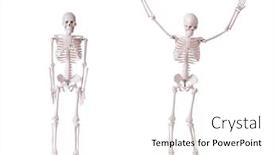  Presentation with skeleton - Amazing PPT layouts having skeleton-isolated-on-the-white backdrop and a white colored foreground