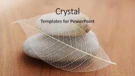  Presentation with skeleton - Slide deck with skeleton leaf on warm wood background and a soft green colored foreground