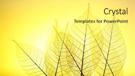  Presentation with skeleton - Slides consisting of skeleton leaves on yellow background background and a white colored foreground