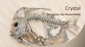  Presentation with bone fish - Amazing PPT layouts having skeleton of a fish backdrop and a lemonade colored foreground