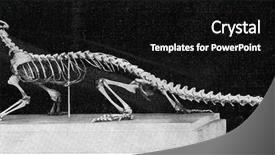  Presentation with skeleton - Audience pleasing slides consisting of skeleton of a modern lizard backdrop and a black colored foreground