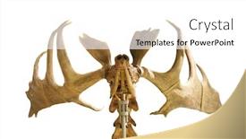  Presentation with fossil - Cool new presentation with skeleton-of-fossil-deer backdrop and a white colored foreground