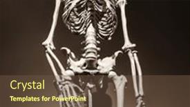  Presentation with human being - Slide set having skeleton-of-human-being background and a tawny brown colored foreground