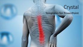  Presentation with muscle - PPT theme having skeleton with highlighted back pain background and a light blue colored foreground