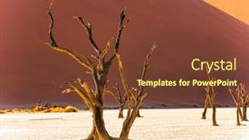  Presentation with sand dunes - PPT layouts enhanced with skeletons-of-dead-trees-sossusflei background and a tawny brown colored foreground