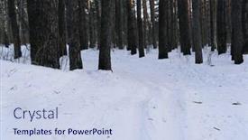  Presentation with forest winter - PPT layouts enhanced with ski-track in a winter forest background and a sky blue colored foreground
