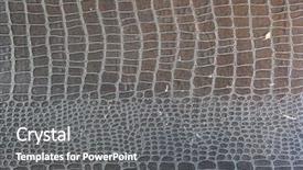 Presentation with 60s - Beautiful presentation theme featuring skin animals - 1950s - 60s crocodile pattern backdrop and a gray colored foreground