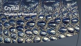  Presentation with crocodile - Audience pleasing presentation theme consisting of skin animals - crocodile leather texture backdrop and a ocean colored foreground