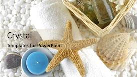  Presentation with sea shells - Audience pleasing presentation design consisting of skin care items with starfish and sea shells on white pebble backdrop and a soft green colored foreground