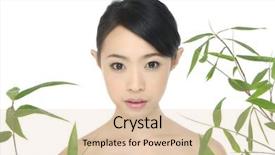  Presentation with asian bamboo - Presentation theme enhanced with skin graft - picture of lovely asian young background and a  colored foreground