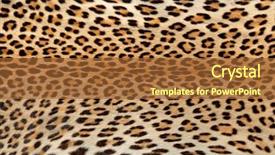  Presentation with skin - Cool new theme with skin of a leopard backdrop and a red colored foreground
