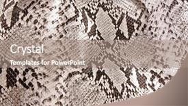  Presentation with pattern - Colorful theme enhanced with skin structure - black and white background backdrop and a coral colored foreground