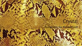  Presentation with black yellow - Theme consisting of skin structure - black and yellow background background and a gold colored foreground