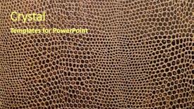  Presentation with dark skin - Audience pleasing PPT theme consisting of skin structure - dark leather background backdrop and a tawny brown colored foreground