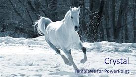 Presentation with white horse - Amazing presentation having skipping white horse backdrop and a lemonade colored foreground