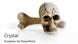  Presentation with cranio bone - Beautiful theme featuring skull and bone studio isolated backdrop and a  colored foreground