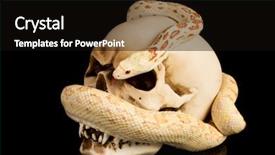  Presentation with skull - Amazing theme having auto repair shop mechanic technician backdrop and a dark gray colored foreground