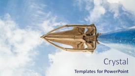  Presentation with whale - Audience pleasing presentation theme consisting of skull of a whale with the cloudy sky up above at the canary islands backdrop and a sky blue colored foreground