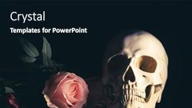  Presentation with catrina - Presentation having skull-with-pastel-pink-rose background and a wine colored foreground