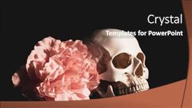  Presentation with catrina - Presentation consisting of skull-with-pastel-pink-rose background and a black colored foreground
