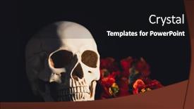  Presentation with catrina - Presentation theme consisting of skull-with-red-poppy-flowers background and a black colored foreground