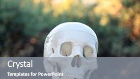  Presentation with human being - Colorful presentation theme enhanced with skulls are an important part backdrop and a gray colored foreground
