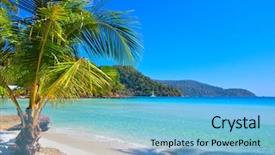  Presentation with white sand - PPT theme having sky and green palm tree background and a light blue colored foreground