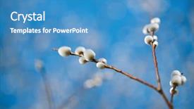  Presentation with blue floral - PPT theme with sky background soft floral spring background and a teal colored foreground