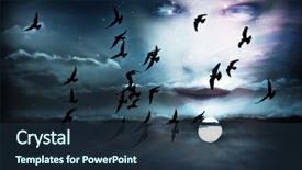 Presentation with birds - Presentation with sky birds full moon background and a tawny brown colored foreground