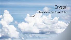  Presentation with seagull - Beautiful slide set featuring sky blue cloudy sky background backdrop and a light blue colored foreground