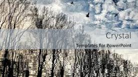  Presentation with birds - PPT layouts featuring sky-clouds-birds-and-trees background and a light gray colored foreground