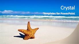  Presentation with ocean stream - Slide deck enhanced with sky diving - starfish with ocean beach background and a teal colored foreground