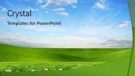  Presentation with summer - PPT theme consisting of mood disorder with negative affective symptoms in the case of an elderly woman background and a dark gray colored foreground