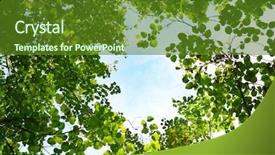  Presentation with deep - Colorful theme enhanced with sky in deep forest backdrop and a tawny brown colored foreground