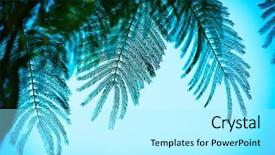  Presentation with blue and silver birthday - Cool new slide deck with sky intentionally shot in bluish backdrop and a arctic colored foreground