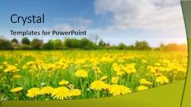  Presentation with sunny sky - PPT theme having sky location place ukraine europe background and a light blue colored foreground